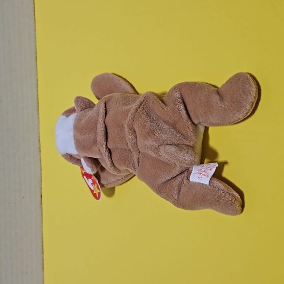 Wrinkles - Ty Beanie Babies - with tags - Picture 4 of 11